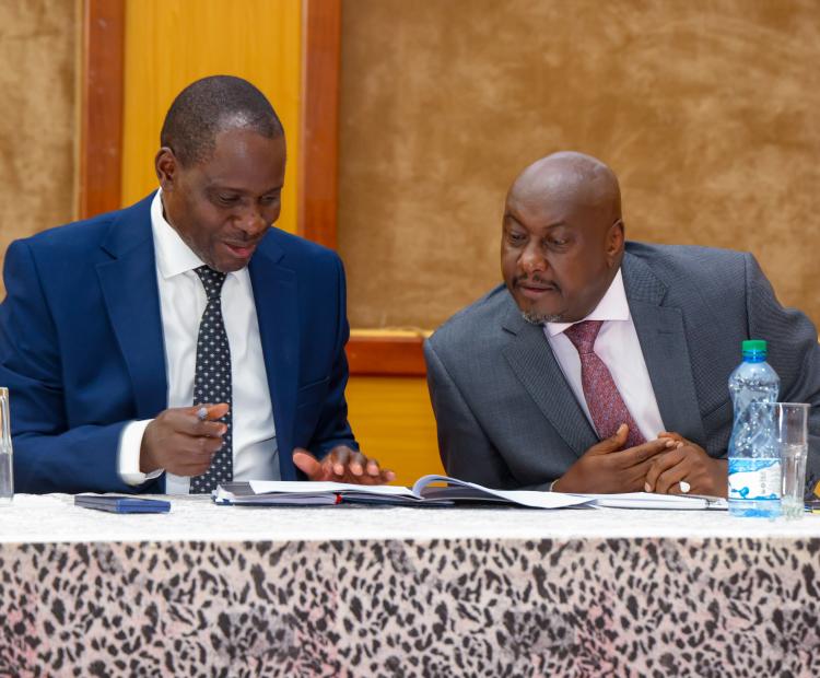 Audit of Government offices